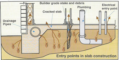 Metod Statement for Anti Termite