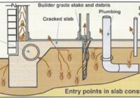 termite control and anti termite treatment procedure