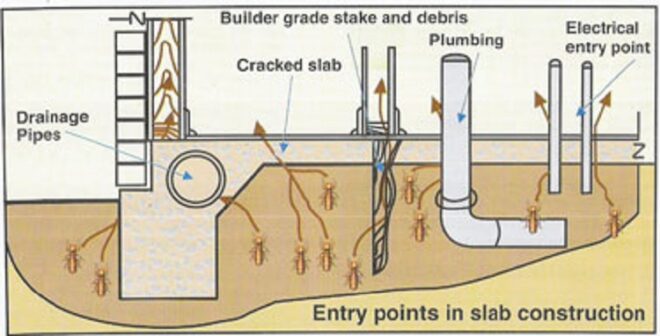 Termite Treatment Safe Work Method Statement for Anti Termite